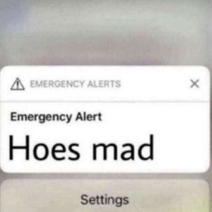 Meet your Posher, Greenlee